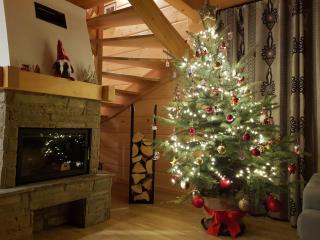 Świerkówka - Dom z Bali - 7