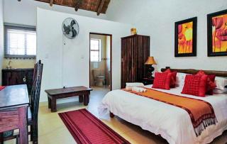 Palm Afrique Lodge - Ghanzi - 4