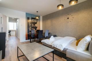 Spodek Homely Apartment - Katowice - 7
