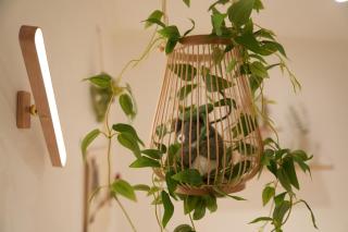 Flower house 102 - Seul - 4