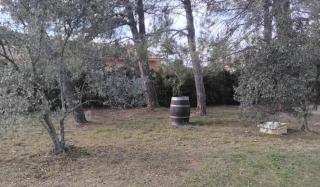 fleur de gaïa chambres d'hôtes - Mazan - 6