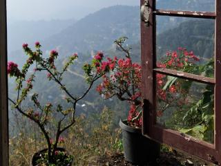 Dormitories/Hosteller, Giftland Homestay - Āīzawl - 7