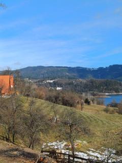 Brvnara JEZDA - Bajina Bašta - 7