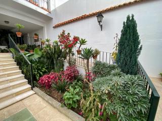 Beautiful apartment in Triana, Sevillarooms - Sevilla - 7
