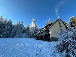 Waldhotel Zöbischhaus - Bad Reiboldsgrün - 5