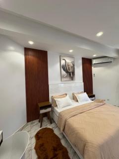 logement luxueuse au pieds du monument de la renaissance africaine - Dakar - 6