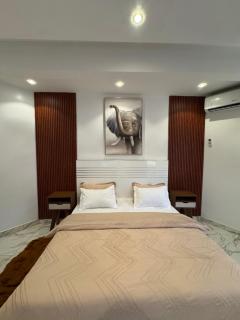 logement luxueuse au pieds du monument de la renaissance africaine - Dakar - 7
