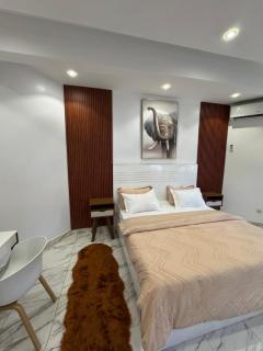 logement luxueuse au pieds du monument de la renaissance africaine - Dakar - 0