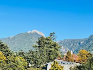 Villa Ehrenburg - Merano - 5