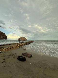 Playa y selva - 5