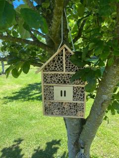 The Stables close to Galway and Oranmore - 7