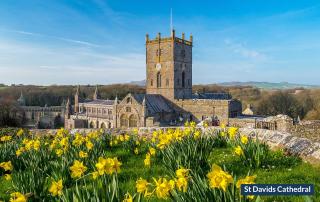 Halfways - Haverfordwest - 3