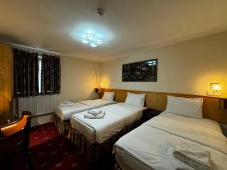 Bridge Park Hotel - London - 2