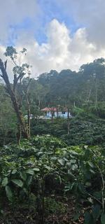 Vintara Homestay - Madikeri - 9