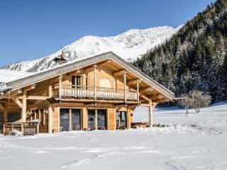Chalet d'exception à Chamonix avec sauna, cheminée et proximité des pistes skiables - FR-1-343-181 - Chamonix-Mont-Blanc - 8