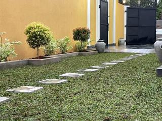 Kico Nest - - 6