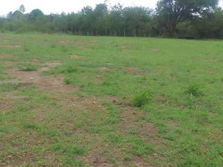 Mwea CampSite and Nature Trail - - 6