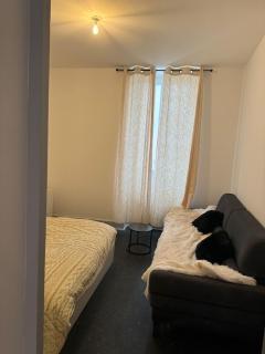 cosy spacieux appart au centre ville - Bourg-en-Bresse - 6