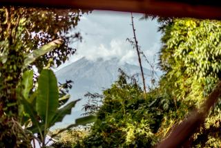 The River Villa Situated In A Lush Garden - Arusha - 8