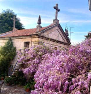 Quinta de Ribas - Amarante - 6