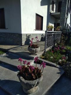 La Primula - Aosta - 5