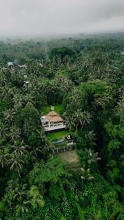 Luxury 2BR Ubud Villa with Infinity Pool and Jungle Views - Penginyahan - 0