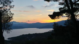 Il Polpetto - Capoliveri - 3