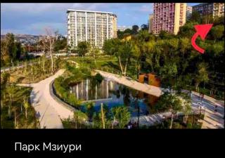 Apartment in the Green Zone near Park Mziuri - Tbilisi - 8