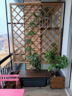 IlBalconcino - Milan - 2