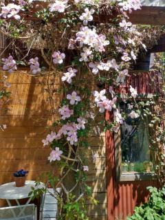 De luz, flores y montaña - 4