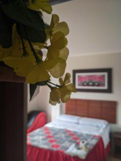 Cielo INN - Mendoza - 9