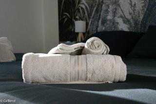 Cabercé Thoiré - 1