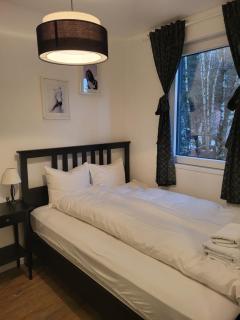 Apartman Jovanovic Kopaonik - Kopaonik - 5