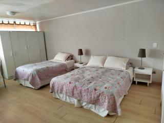 Departamento en pleno centro de Viña del Mar - Viña del Mar - 3