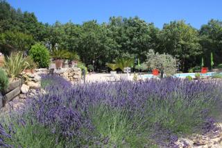 Le Gîte du Hameau Fleur de Pierres - Gordes - 2