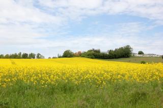 ruhige Lage, Ferienwohnung im Bäderstil mit Veranda - Villa Möwe FeWo 06 - Göhren - 7