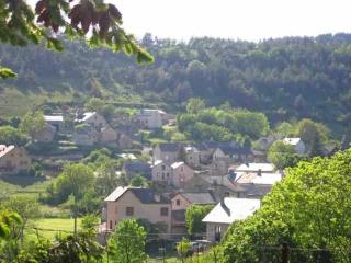 Gîte Gîte Agnès 2/3 personnes - Laval-du-Tarn - 2