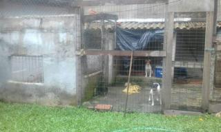 Casa das Árvores - 3