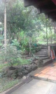 Casa das Árvores - 1