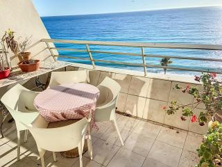 Situation et vue exceptionnelles 338L ROLL - 7