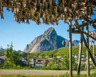 Madelhea Cabin- Seaview Lodge - Reine - 2
