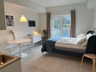 Lofoten Studio Penthouse - 9