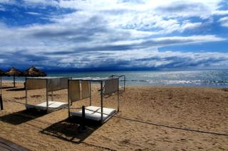 Aria Ocean Flamingos - 0