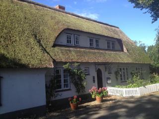 Gartenwohnung - Nieblum - 0