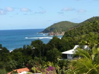 Surfside Studios on the beach in Martinique - North - 0