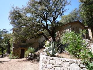 Bastide provençale du XVIIIème en bordure du fleuve Argens sur terrain de 2 ha - 9