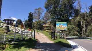 La Vaca Fifí - 0