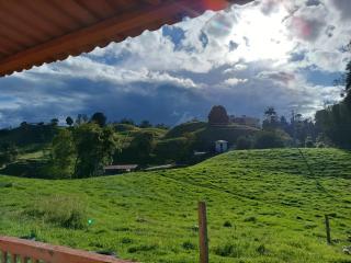 La Vaca Fifí - 3