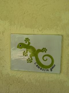 L' Amabile Geko - Rio Marina - 5
