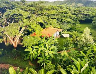 Apothefinca - Escamequita - 4